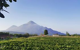 Avila Ketapan Rame Hotel
